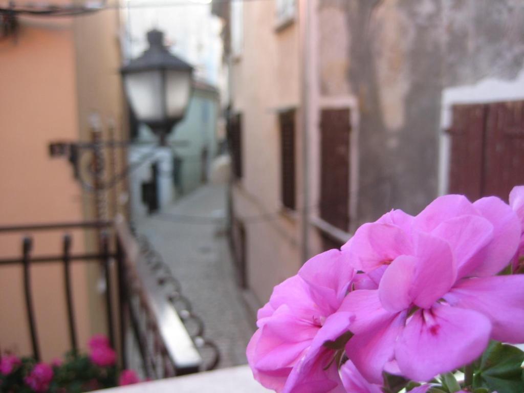 Apartment Below The Stars Rovinj Extérieur photo